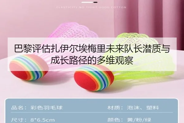 巴黎评估扎伊尔埃梅里未来队长潜质与成长路径的多维观察
